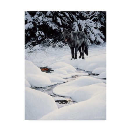 Ron Parker 'Black Wolf And Embers' Canvas Art,35x47